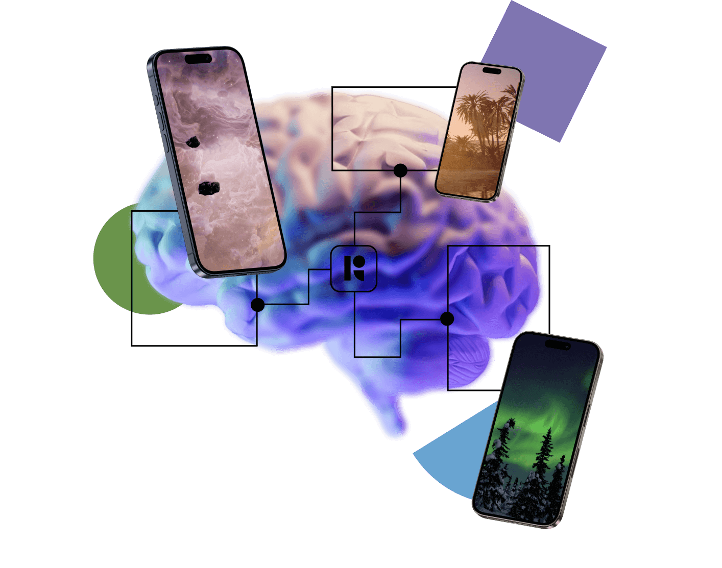 brain-mapping